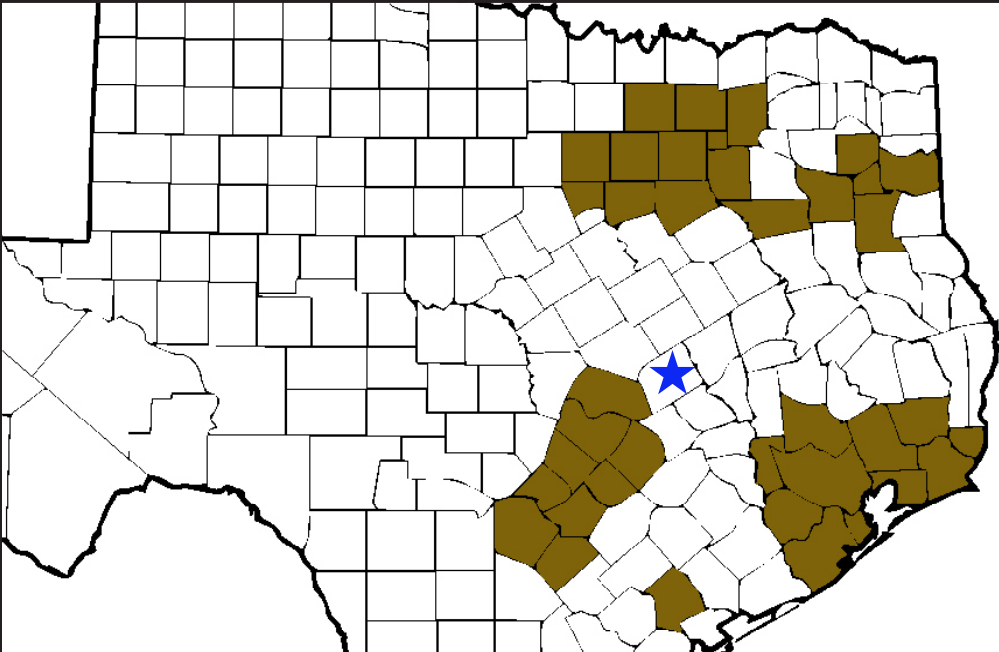 Map of eastern Texas counties with Rockdale marked by a star; counties around Dallas–Fort Worth, Houston, Austin–San Antonio, and East Texas are shaded